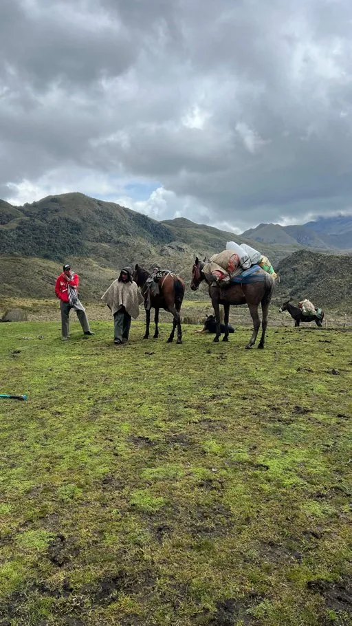 Grupo caminando por la montaña